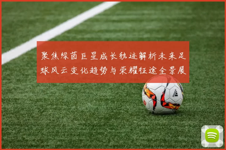 聚焦绿茵巨星成长轨迹解析未来足球风云变化趋势与荣耀征途全景展示录篇