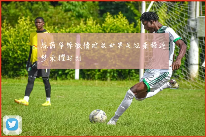 绿茵争锋激情绽放世界足坛豪强逐梦荣耀时刻