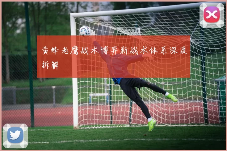 黄蜂老鹰战术博弈新战术体系深度拆解