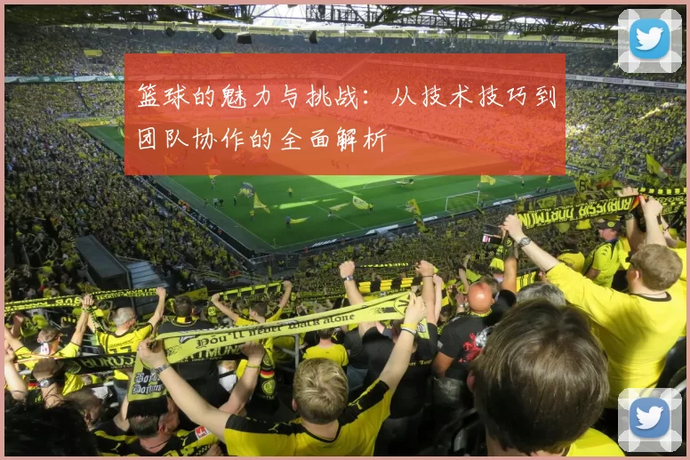 篮球的魅力与挑战：从技术技巧到团队协作的全面解析