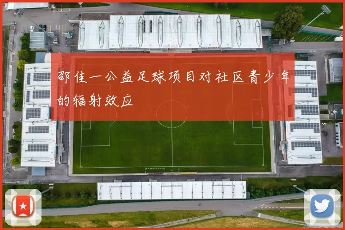 邵佳一公益足球项目对社区青少年的辐射效应
