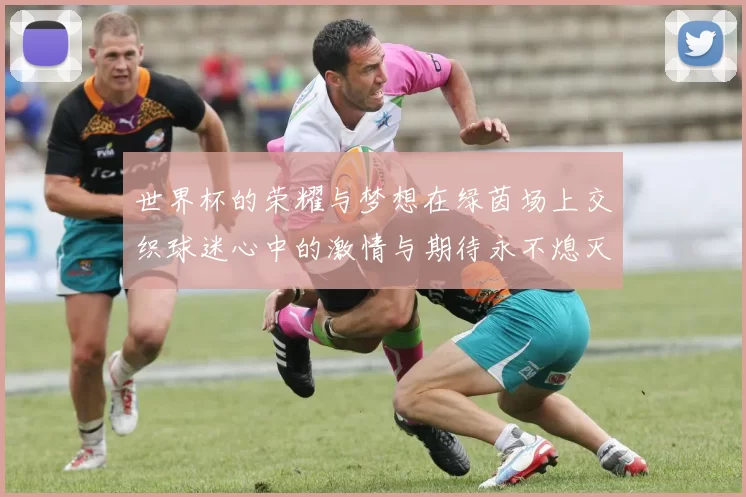 世界杯的荣耀与梦想在绿茵场上交织球迷心中的激情与期待永不熄灭